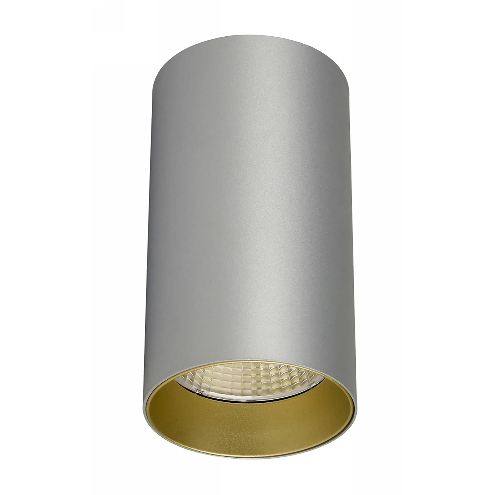 DL300017  Eos 15 15W Silver & Gold Surface LED Spotlight 1180lm 25° 2700K IP20